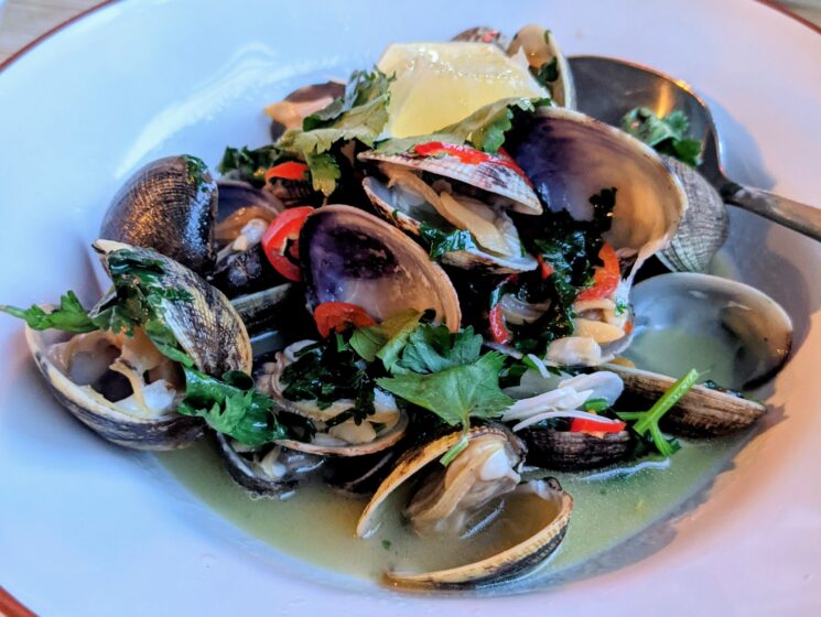 A bowl of mussels